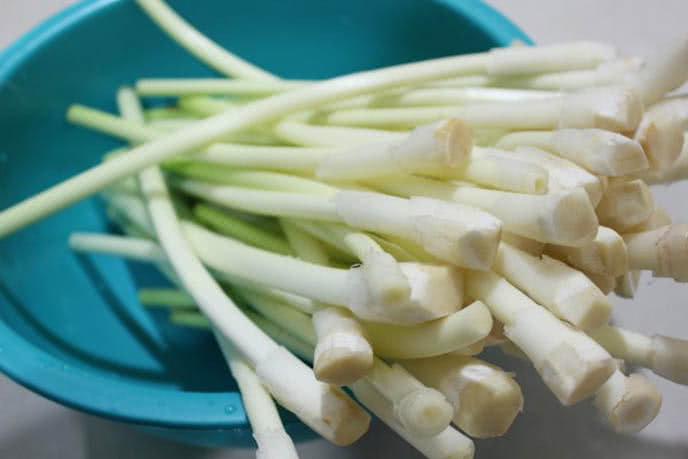 Gỏi bồn bồn: Bồn bồn là loại cây dại có rất nhiều ở vùng đất thấp, nhiều phèn mặn. Người miền Tây Nam Bộ rất sành món gỏi này. Sau khi hái bồn bồn về, người ta chọn ra phần tươi non như thân, lá, gốc rửa sạch rồi chế biến gỏi bồn bồn.