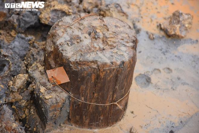 Chi tiet bai coc vua phat lo nghi lien quan den tran Bach Dang nam 1288-Hinh-5