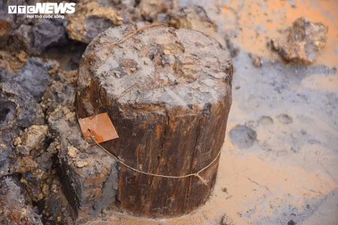 Chi tiet bai coc vua phat lo nghi lien quan den tran Bach Dang nam 1288-Hinh-5