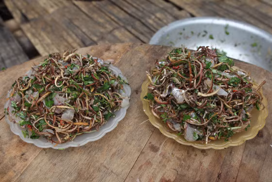 Món gỏi cá của đồng bào dân tộc Thái đã trở thành món ăn đặc sắc và mang đậm nét văn hóa ẩm thực riêng biệt trong bữa cơm của mọi gia đình từ xưa đến nay, nhất là trong những ngày lễ, ngày tết không thể thiếu món ăn này. Ảnh: Internet. Video "Chế biến món ngon từ nấm đông cô". Nguồn: VTC.