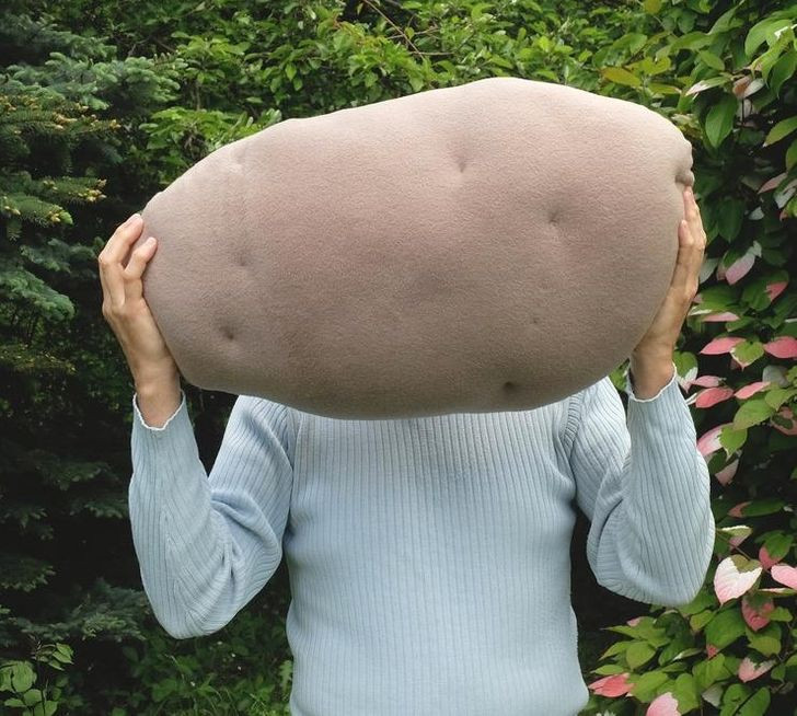 Chiếc gối khoai tây này trông siêu thực!