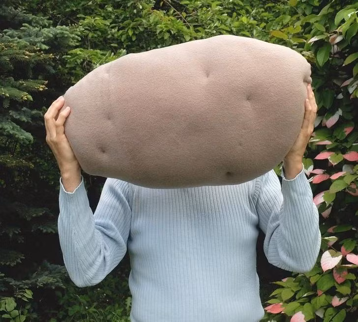 Chiếc gối khoai tây này trông siêu thực!