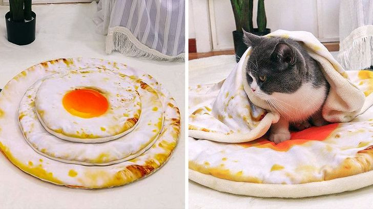 Chiếc gối hình trứng tráng tuyệt đẹp cho mèo cưng.