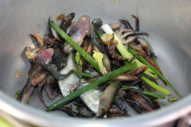 Tổ kiến vàng khi mang về sẽ được sơ chế sạch sẽ, chuẩn bị sẵn sàng để nấu canh chua. Thông thường, người Tây Nguyên nấu canh chua kiến vàng với cá hoặc nấu cùng lá giang. Chất axit tự nhiên trong bụng cá khi hòa tan cùng nước sẽ cho ra vị chua thanh tự nhiên, tạo nên hương vị nồng nàn đậm đà bản sắc ẩm thực vùng núi.