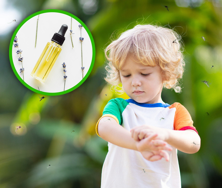 10. Hoa oải hương: Dầu oải hương có thể giúp chữa lành vết thương và vết côn trùng cắn. Hoa oải hương giúp giảm lo âu, mất ngủ và trầm cảm. Dầu được làm bằng loại thảo mộc này cũng có thể chống lại nhiễm trùng kháng nấm. Hoa oải hương được sử dụng nhiều nhất để sản xuất các loại dầu và bạn có thể sử dụng nó như một loại kem dưỡng ẩm 1-2 lần/ngày. Ảnh: BS. Video "Bí quyết nấu nước dùng ngọt thơm từ thực phẩm". Nguồn: VTC.