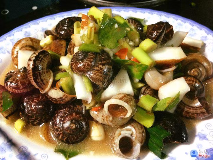 Ốc núi Ninh Bình là một đặc sản mới nổi của Ninh Bình. Thịt ốc núi dai, giòn, ngọt, thơm mùi thuốc bắc. Ốc núi có thể chế biến thành nhiều món như nướng, xào me, hấp gừng, luộc xả hết, trộn gỏi hành tây…đều rất hấp dẫn. Ảnh: Internet. Mời độc giả xem video "Chế biến món ngon từ nấm đông cô". Nguồn: VTC.