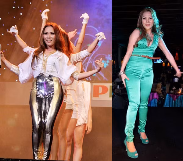 Mỹ Tâm cũng từng bị liệt vào danh sách những mỹ nhân Việt diện quần bó chẽn để lộ điểm nhạy cảm kém duyên.