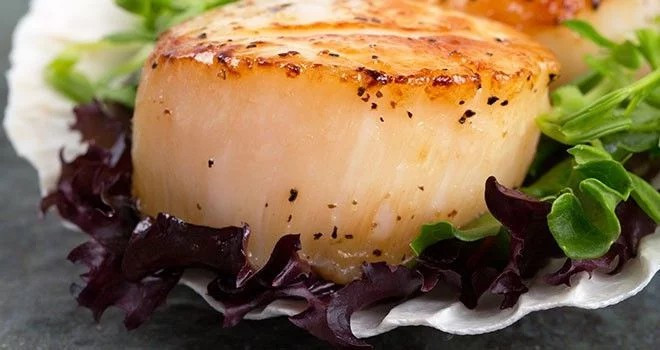 Sò điệp: Bác sĩ khuyến cáo người bị bệnh gút không nên ăn hải sản, đặc biệt là sò điệp. Các loại hải sản cần kiêng khác bao gồm các loại động vật có vỏ cứng . Có thể ăn tôm, tôm hùm, cá hồi và cua, vì chúng có lượng purine thấp.