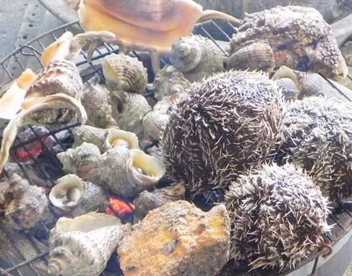 Hải sản: Đến thăm thành phố Phan Rang – Tháp Chàm, chắn chắc du khách sẽ không thể bỏ qua được các món hải sản tươi ngon đặc sản của biển như các loại cua, ghẹ, mực, ốc giác, ốc hương…Hải sản tươi, cứ thế cho lên hấp hoặc nướng, cầu kì hơn thì cho chút mỡ hành và lạc rang là ngon nhất. Ảnh: Dulich24.