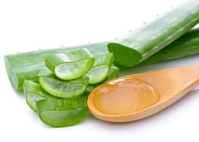 Nha đam: Nha đam là một trong những loại thảo mộc được sử dụng phổ biến nhất trong y học. Nó có sẵn ở nhiều dạng, như thuốc viên, bột, gel và dưới dạng lá. Được biết đến với đặc tính chữa bệnh, nha đam phổ biến để điều trị các vết trầy xước nhỏ trên da, chẳng hạn như cháy nắng, nhưng nó cũng có thể giúp giảm đau xương khớp, theo Healthline.