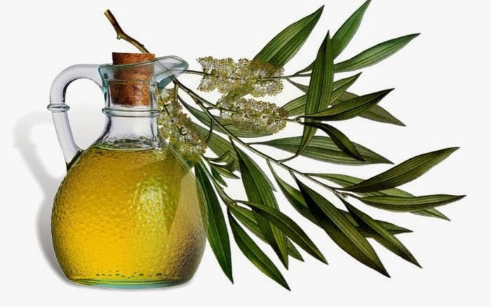 Bạch đàn (khuynh diệp): Chiết xuất của lá bạch đàn có trong các phương thuốc bôi để điều trị đau viêm khớp. Lá cây bạch đàn có chứa tannin có thể giúp giảm sưng và đau liên quan đến viêm khớp.