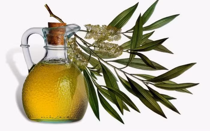 Bạch đàn (khuynh diệp): Chiết xuất của lá bạch đàn có trong các phương thuốc bôi để điều trị đau viêm khớp. Lá cây bạch đàn có chứa tannin có thể giúp giảm sưng và đau liên quan đến viêm khớp.