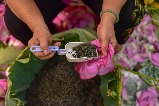 Việc lấy gạo sen là công đoạn khó nhất, người nghệ nhân phải khéo tay, nhanh mắt để gạo không bị nát giữ nguyên mùi thơm đặc trưng của sen.