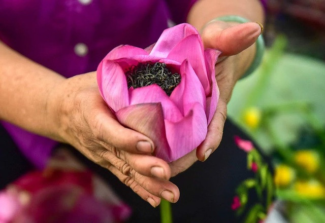 Ngoài ra, để cho ra loại trà hảo hạng, loại trà được chọn làm trà sen cũng phải là chè Tân Cương (Thái Nguyên) cánh nhỏ, thẩm hương vừa độ.