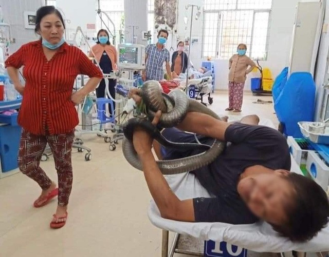 Om ho mang chua toi BV: So cuu the nao khi bi ran can?