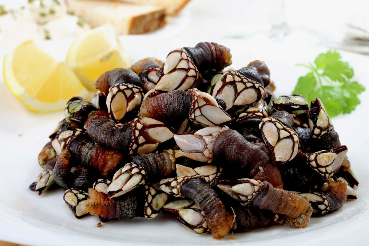 Hà ngỗng là động vật giáp xác sống bám trên bề mặt cứng như đá, vỏ tàu trong vùng liên triều và hẻm núi. Loài động vật xuất hiện nhiều ở bờ biển Tây Ban Nha, Bồ Đào Nha được mệnh danh là ngón tay quỷ do vẻ ngoài kỳ lạ.