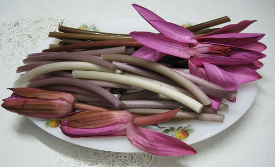 Mắm dùng để kho thường là cá linh hoặc cá sặc. Mắm phải nấu nước sôi bỏ vào, lọc bỏ xương, bỏ sả bằm, rồi tép, hến hay cá lóc được bỏ vào đúng lúc khi mắm vừa sôi lại. Mắm kho thơm ngon hòa quyện vị cay của ớt, the của sả, ngọt của tép, giòn của bông súng.