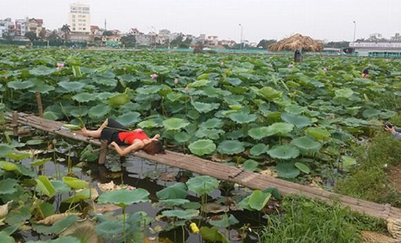 Không chỉ ăn mặc phản cảm, nhiều cô gái còn tạo dáng khoe thân dung tục khiến cộng đồng mạng “ném đá” thậm tệ.