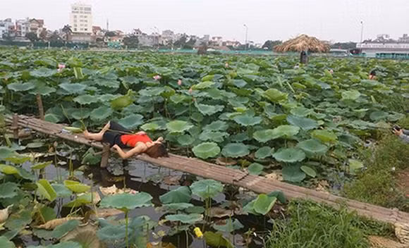 Không chỉ ăn mặc phản cảm, nhiều cô gái còn tạo dáng khoe thân dung tục khiến cộng đồng mạng “ném đá” thậm tệ.