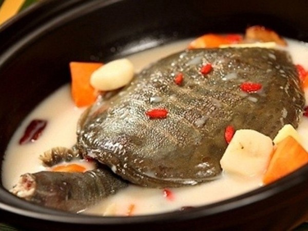 Súp rùa sống nguyên con có cách chế biến khá là giống món lẩu mà chúng ta thường ăn. Tuy nhiên, món ăn này được xem là tàn nhẫn ở chỗ, con rùa khi bị thả vào nồi nước vẫn còn sống.