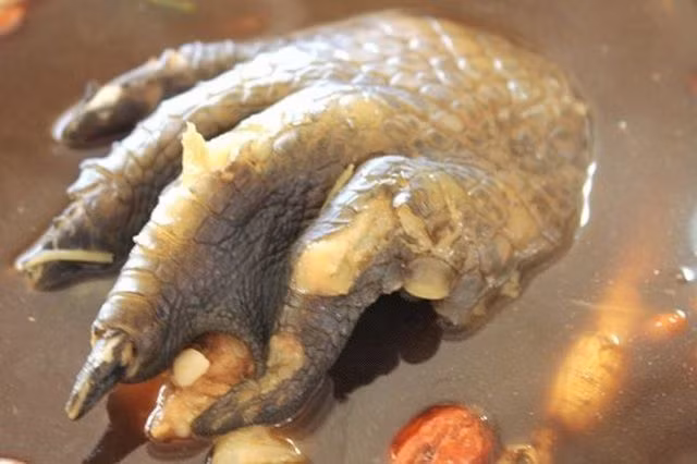 Tuy nhiên, món súp độc đáo này trong ẩm thực Singapore lại thu hút không ít người dân nơi đây, vì theo họ thịt cá sấu rất ngon, vị như thịt gà, da mềm, hơi dai.