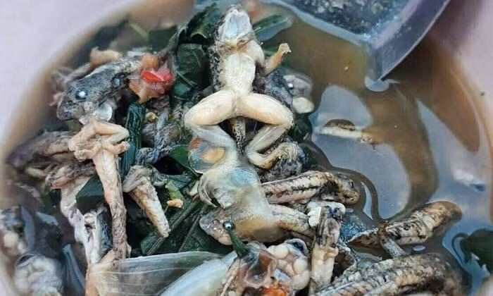 Người Thái Lan rất yêu thích món nòng nọc hấp trong lá chuối có tên Mok huak. Người dân xứ chùa vàng cho rằng Mok Huak rất giàu chất dinh dưỡng vì được chế biến từ những con nòng nọc đã phát triển thành ếch trộn kèm với mắm cá và ớt cay.