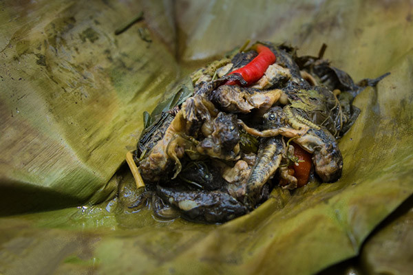 Với người Thái Lan, món nòng nọc ếch hấp là một đặc sản hiếm có nhưng với du khách thập phương thì đây là một món ăn kinh dị mà thoạt nhìn chỉ muốn “khóc thét”.