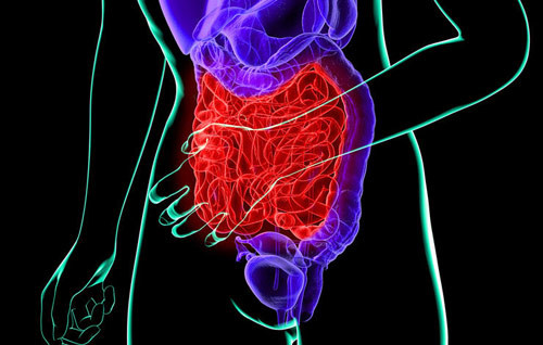 Ung thu bang quang cua nhac si 'Ve day nghe em”... trieu chung, phong ngua?-Hinh-2