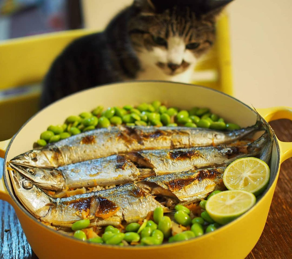 Cá Sanma nướng còn được gọi bằng cá tên là cá thu đao. Đây là một món ăn đặc trưng của Nhật vào dịp thu về bởi vì chúng sinh sản và thơm ngon nhất trong thời điểm này.