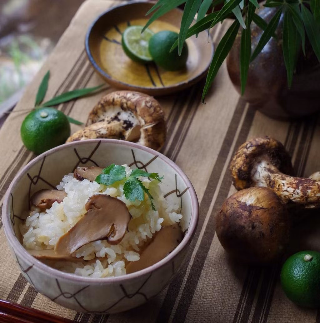 Nấm Matsutake: Nấm matsutake là loại phổ biến nhất và đặc biệt chỉ xuất hiện vào mùa thu ở Nhật. Matsutake chủ yếu được tìm thấy trên rễ của cây thông vào mùa thu. Vì chúng đòi hỏi những điều kiện rất đặc biệt để phát triển nên nấm Matsutake nổi tiếng với hương vị lạ, độc đáo và đặc trưng của Nhật Bản.