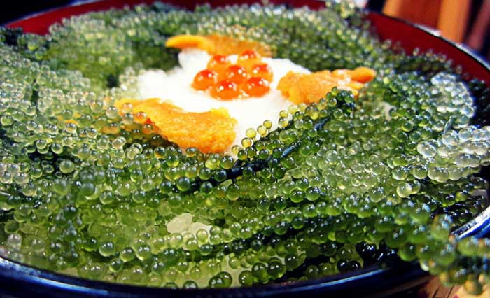 Thế nhưng trước khi chế biến, bạn phải bỏ rong nho khô vào nước ngâm từ 3 - 5 phút để chúng nở ra, tươi và xanh hơn. Sau đó đổ bỏ nước ngâm cũ, tiếp tục ngâm chúng với nước mới từ 5 - 10 phút nữa rồi vớt ra và chế biến bình thường như rong nho tươi.