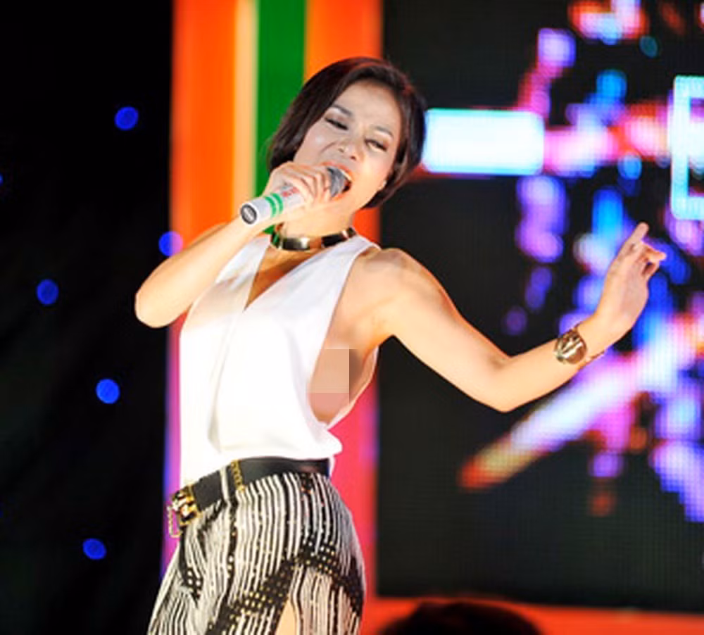 Ca sĩ Thu Minh từng bị Sở Văn hóa Thể thao và Du lịch TP.HCM phạt 3,5 triệu đồng khi diện chiếc áo lấp ló vòng một tại đêm nhạc ở TP HCM năm 2012.