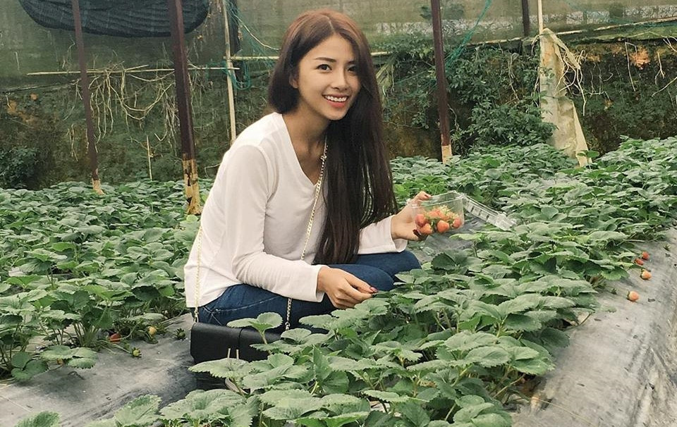 Khi bị tăng cân không mong muốn, Huỳnh Khánh Vy sẽ căn chỉnh lại khẩu phần ăn. Ví dụ như giảm tinh bột, chia nhỏ các bữa ăn trong ngày, không ăn một lúc quá no, khi đói bụng ăn bánh quy, kết hợp thêm hoa quả để giữ dáng và bổ sung chất. Vợ tương lai của Phan Mạnh Quỳnh tuyệt đối không nhịn ăn để giảm cân vì điều này ảnh hưởng xấu tới sức khỏe. Video "Bí quyết làm đẹp của sao Việt". Nguồn: VTC.