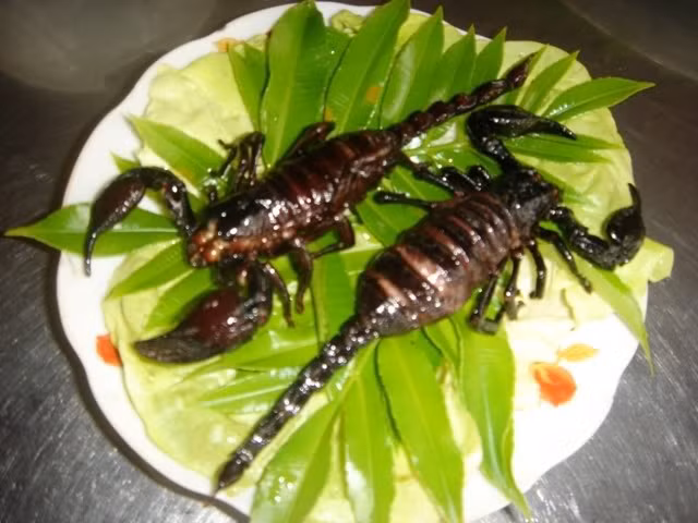 Súp bọ cạp thường được các bác sỹ Đông y khuyến nghị cho các bệnh nhân ung thư bởi họ cho rằng nọc độc của bọ cạp có thể ngăn chặn sự phát triển cũng như chống lại nguy cơ mắc một số bệnh ung thư thông thường. Tuy nhiên, người Trung Quốc ăn súp bọ cạp với mục đích ngừa bệnh nhiều hơn chữa bệnh.