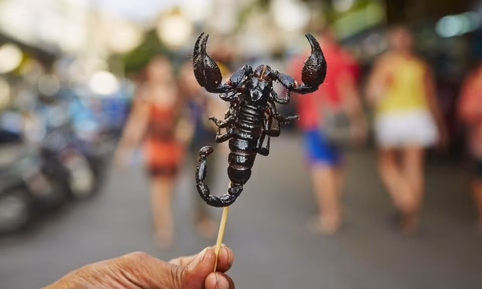 Ngoài món súp bọ cạp, người Trung Quốc còn chế biến bọ cạp thành nhiều món ngon khác như bọ cạp chiên bơ, bọ cạp xiên que nướng.