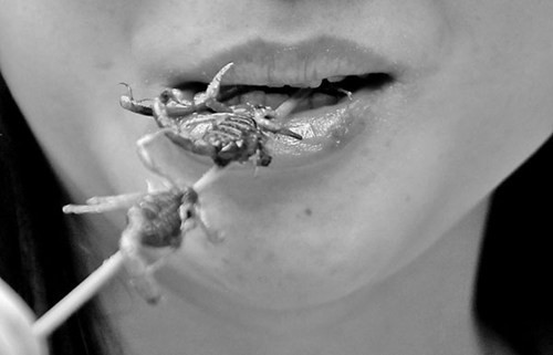 Súp bọ cạp có hương vị rõ ràng nhất ở nước dùng mà nhiều người miêu tả là có vị gần giống súp gà hay súp thịt thông thường. Phần bọ cạp không mang lại nhiều cảm giác nhưng được coi là nguyên liệu quan trọng nhất trong bát súp, có tác dụng tốt cho sức khỏe. Thịt bọ cạp giòn vì có lớp vỏ cứng, có thể ăn tất cả ngoại trừ phần đuôi bởi đây là nơi tích tụ nhiều chất độc nhất.