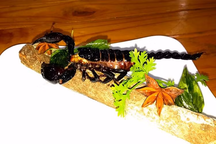 Với món bọ cạp chiên bơ, bọ cạp sẽ được chiên giòn trong bơ. Khi ăn, bọ cạp giòn tan thơm lừng, hương bơ vị béo ngậy khiến bạn quên sợ hãi khi thưởng thức.