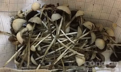 Bat nam sinh trong “nam ma tuy“: Cay thuc than “giet nguoi” the nao?-Hinh-2