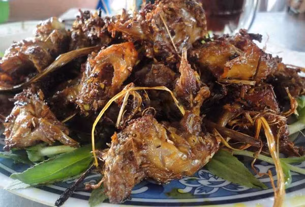 Chuột xào xả ớt: Chuột đồng làm sạch để ráo nước, ướp với sả ớt bằm nhuyễn, rồi thêm muối, bột ngọt, đường, nước mắm ngon. Đợi khoảng 30 phút cho gia vị ngấm rồi chiên trên lửa riu riu. Khi chiên, đảo đều để thịt chuột chín đều vàng. Món này có hương thơm của sả, cay nồng của ớt, béo ngậy của thịt, ăn cùng bánh tráng nướng hay cơm đều ngon.