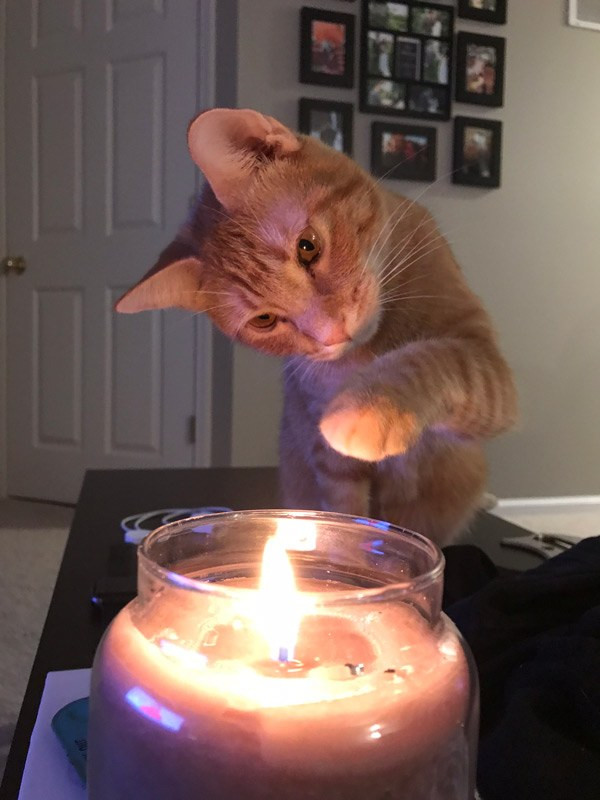 Chong dung bao cao su vo van dinh bau, thu pham gay choang-Hinh-2