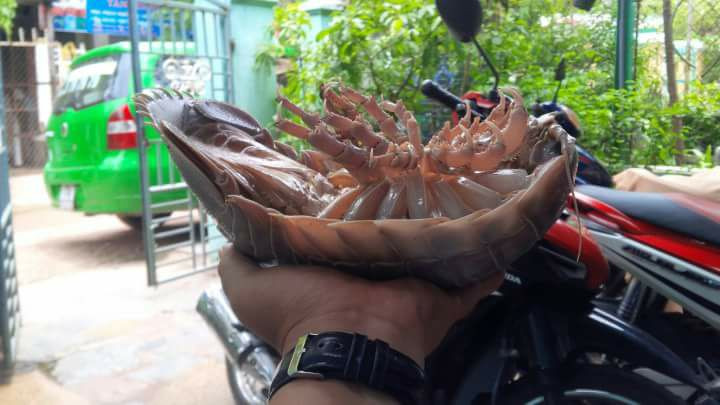 Gia vị chấm bọ biển cũng đơn giản như cách chế biến, chỉ cần chút muối ớt, ăn kèm rau răm.