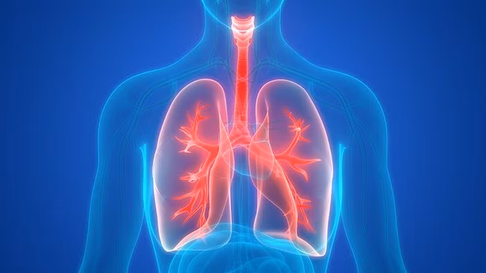 Suy hô hấp cấp khiến NTK Việt nổi tiếng qua đời cực nguy hiểm - Hình 2 Suy ho hap cap khien NTK Viet noi tieng qua doi cuc nguy hiem-Hinh-2