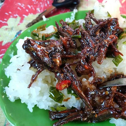 Xôi cá Nha Trang rất đơn giản chỉ gồm có xôi và cá, theo đúng như tên gọi của nó. Xôi có thể là xôi được nấu chỉ bẳng nếp hoặc có thể là xôi nếp đậu xanh. Từng miếng xôi nếp dẻo thơm đúng điệu, không bị khô.