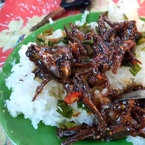 Xôi cá Nha Trang rất đơn giản chỉ gồm có xôi và cá, theo đúng như tên gọi của nó. Xôi có thể là xôi được nấu chỉ bẳng nếp hoặc có thể là xôi nếp đậu xanh. Từng miếng xôi nếp dẻo thơm đúng điệu, không bị khô.