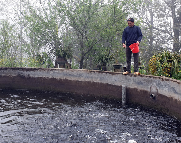Ca hoi Sapa re chua tung co, e 250 tan khong biet ban di dau-Hinh-3