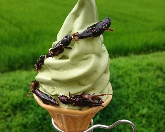 Món kem này cũng có cả vị trà xanh để thực khách lựa chọn. Tuy nhiên, không nhiều người dám thưởng thức món kem vị lạ này.