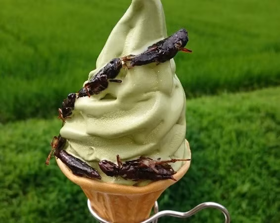 Món kem này cũng có cả vị trà xanh để thực khách lựa chọn. Tuy nhiên, không nhiều người dám thưởng thức món kem vị lạ này.