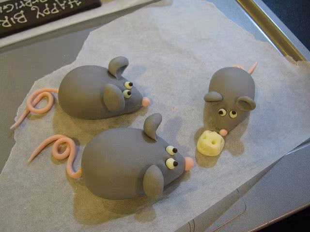 Những con chuột xám tinh nghịch bên miếng phô mai.