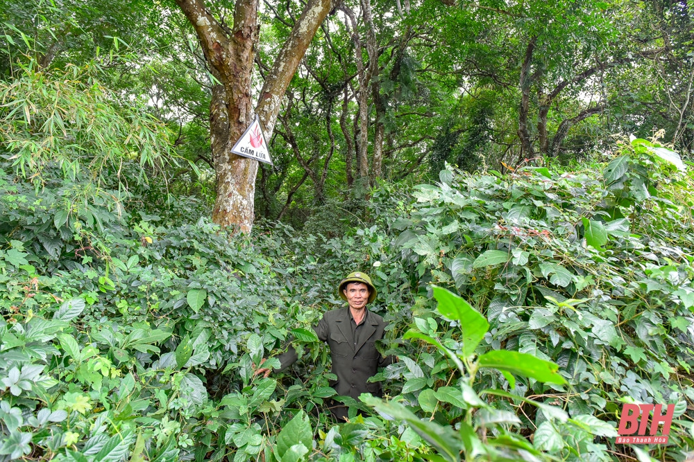 Cánh rừng trải rộng ở nhiều địa bàn nên kiểm lâm thường xuyên tuần tra bằng xe máy. Nhiều vị trí ông Đắc và đồng nghiệp phải đi bộ, băng rừng rậm vào kiểm tra các điểm nhạy cảm, nguy cơ rừng bị xâm hại.