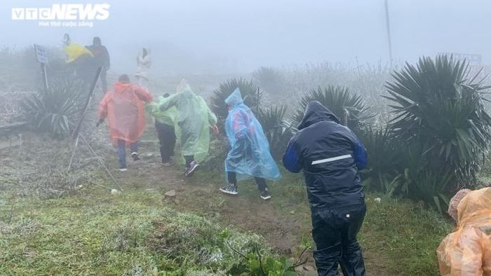 Anh Hoàng Quân, 36 tuổi cho biết: "Đoàn chúng tôi thuê nguyên một chiếc xe 29 chỗ từ Bắc Ninh lên đây từ chiều hôm qua để săn tuyết".